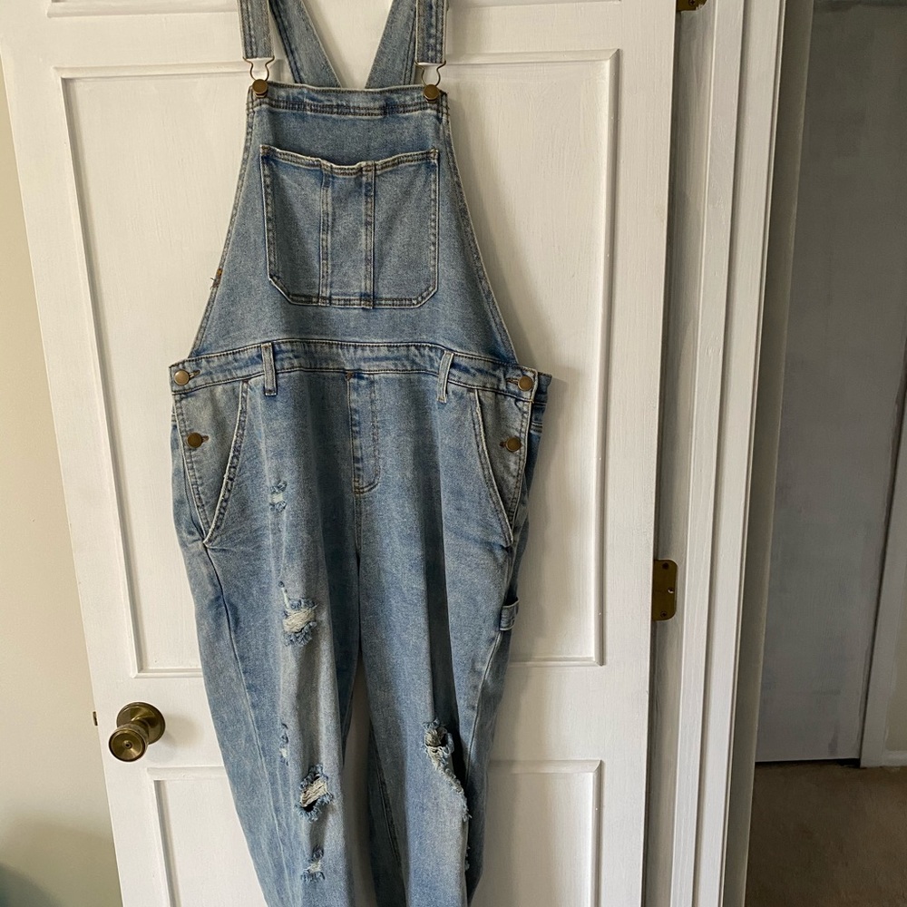 Wild Fable Distressed Overalls